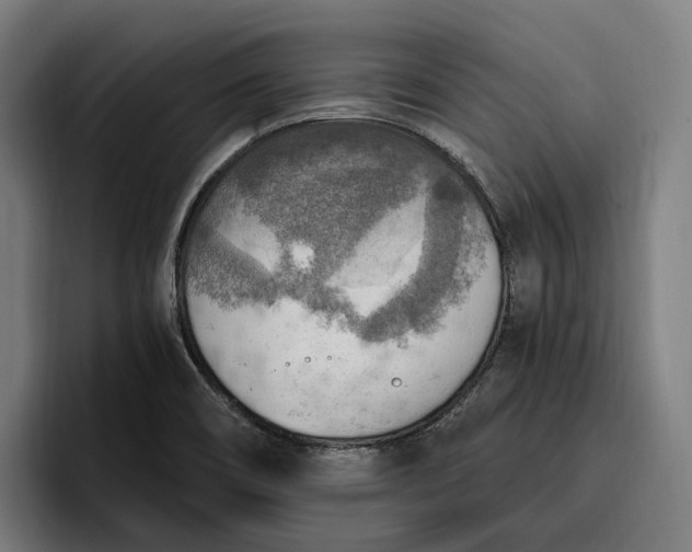 X0000096691466200802191418