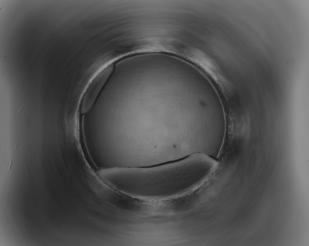 X0000096691468200802191418