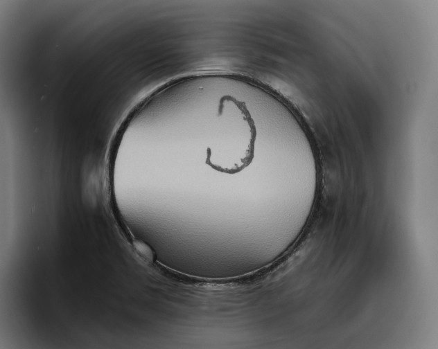 X0000096691469200802191418