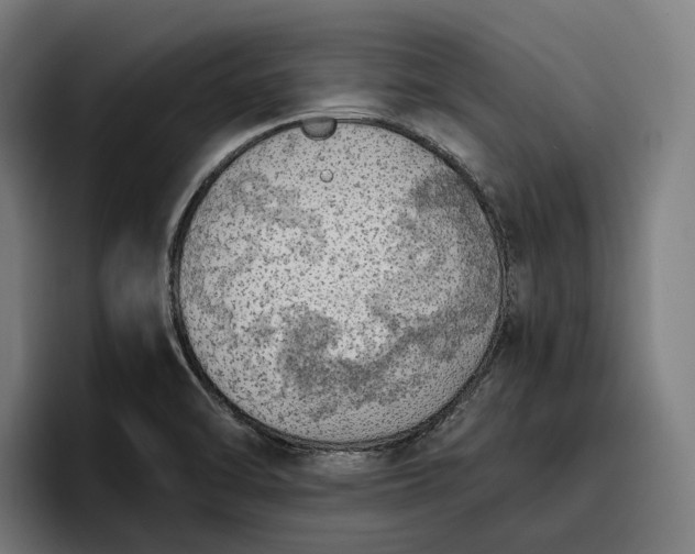 X0000096691470200802191418