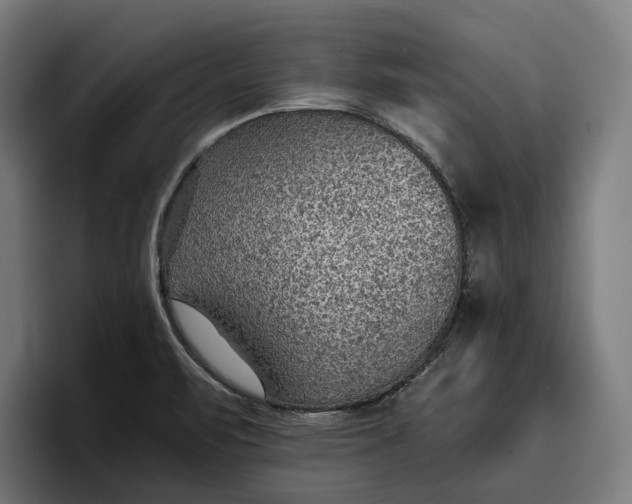 X0000096691471200802191418