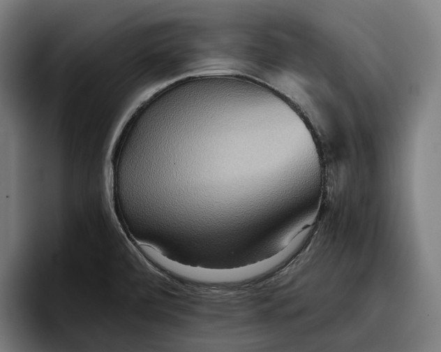 X0000096691472200802191418