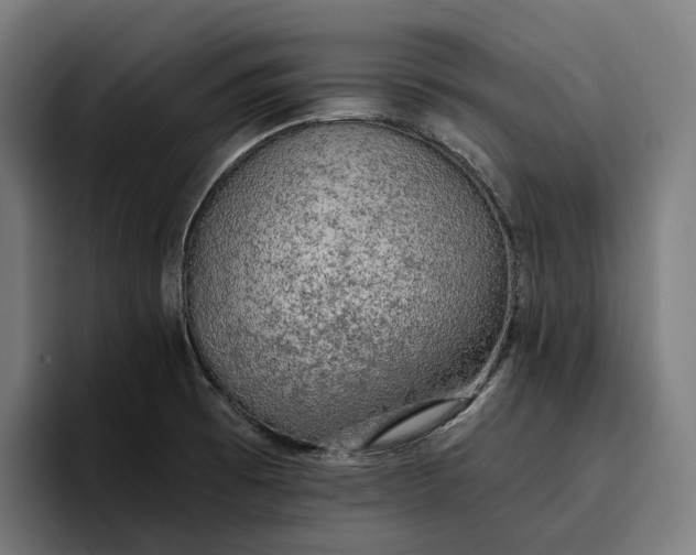 X0000096691473200802191418