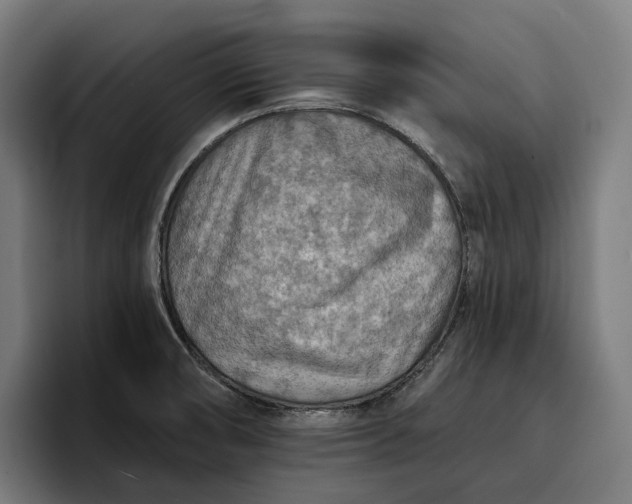 X0000096691474200802191418