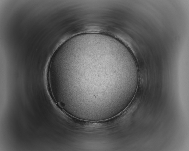 X0000096691475200802191418