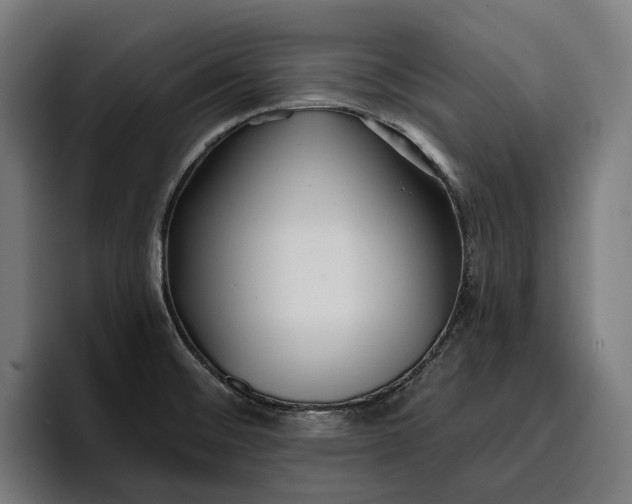 X0000096691476200802191418