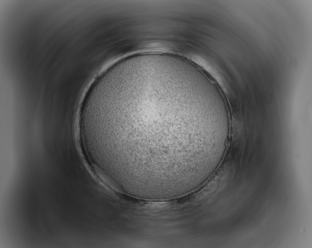 X0000096691477200802191418