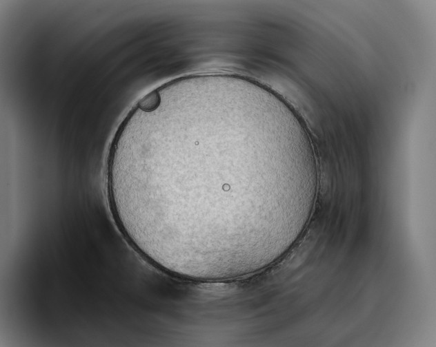 X0000096691478200802191418