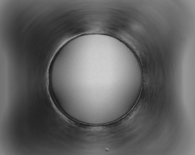 X0000096691479200802191418