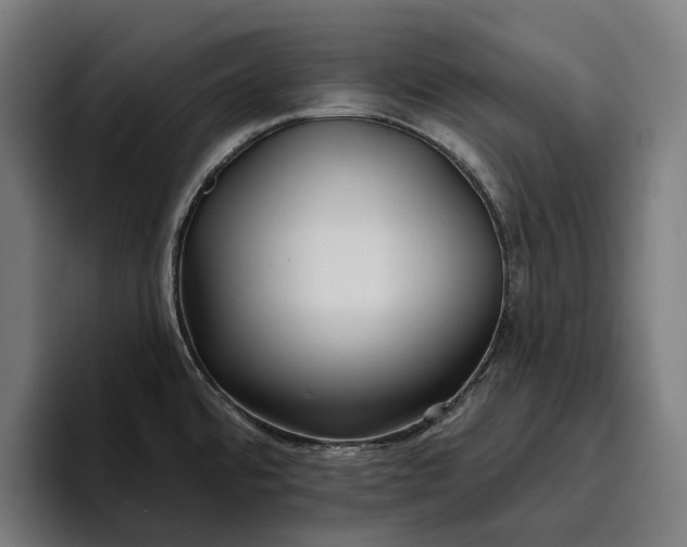 X0000096691480200802191418