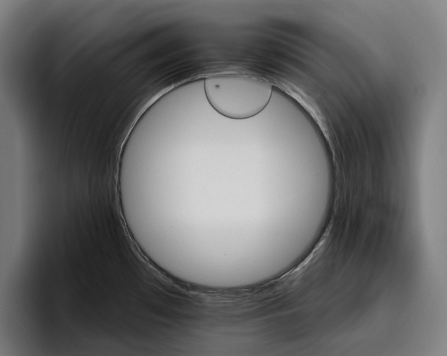 X0000096691481200802191418