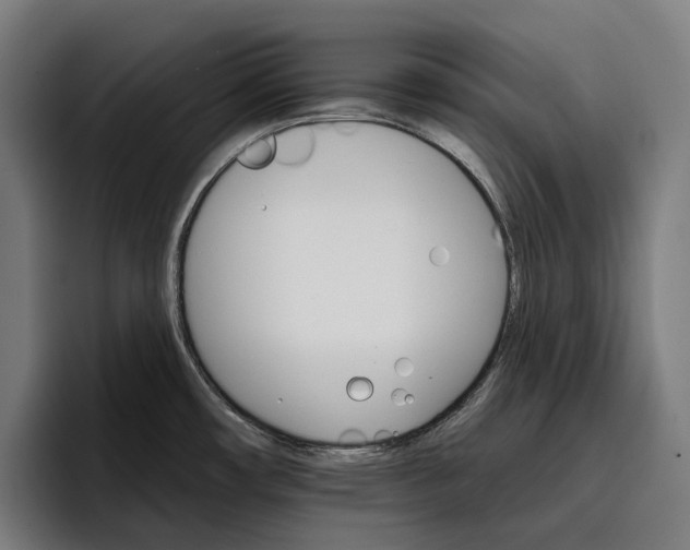 X0000096691482200802191418