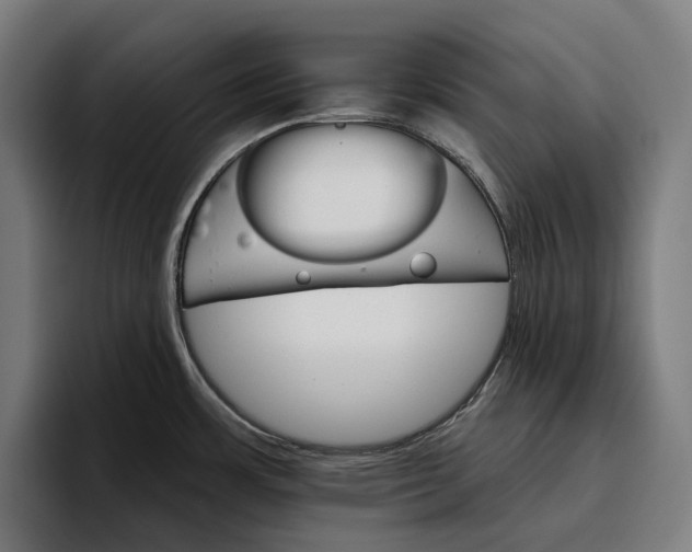 X0000096691483200802191418