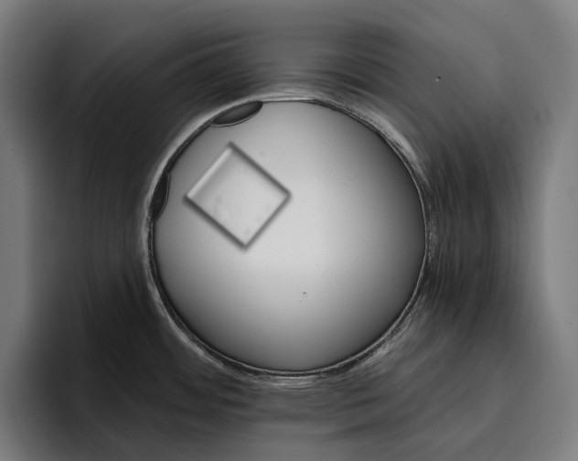 X0000096691484200802191418