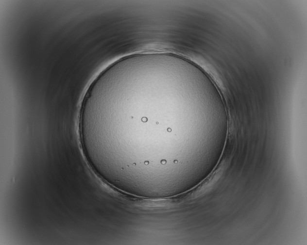 X0000096691486200802191418