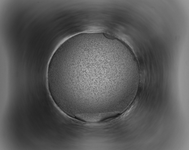 X0000096691487200802191418