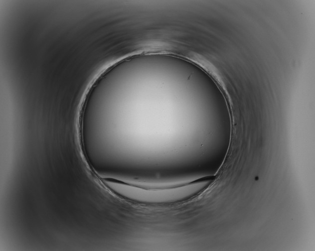 X0000096691488200802191418