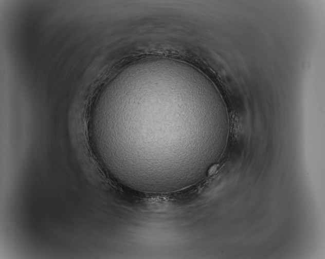 X0000096691489200802191417