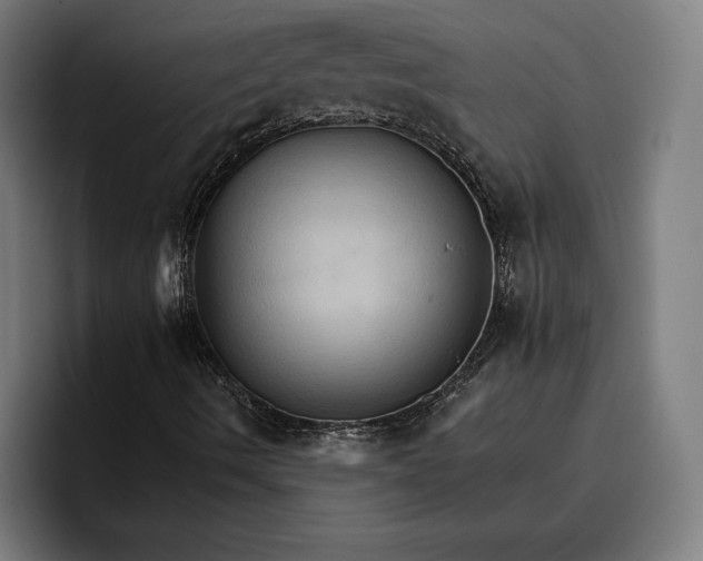 X0000096691490200802191417