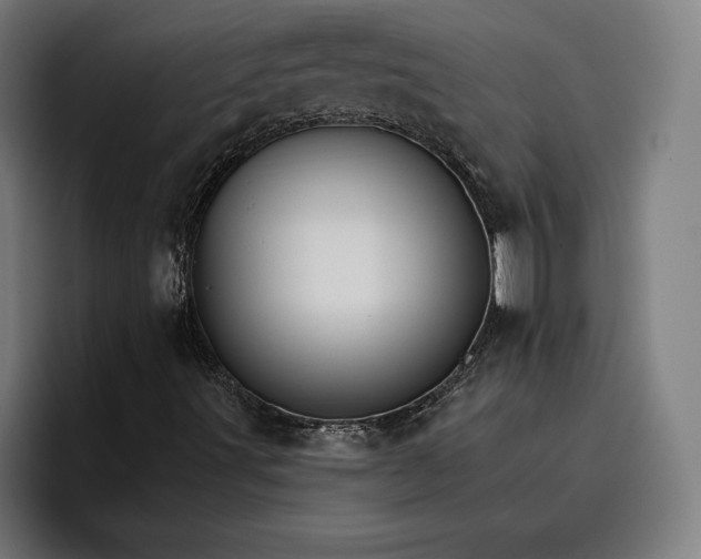 X0000096691491200802191417