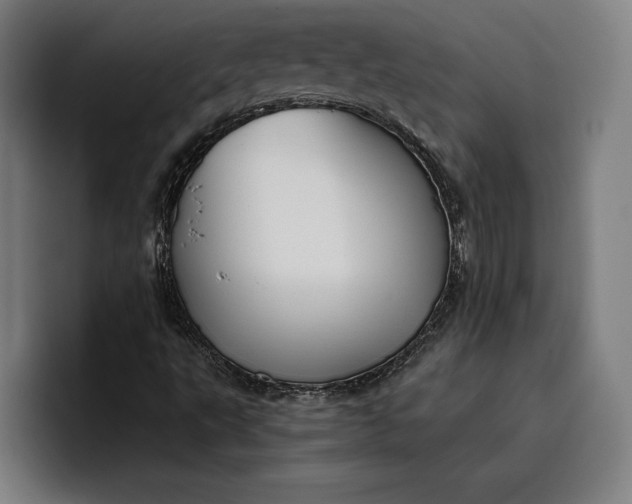 X0000096691495200802191417