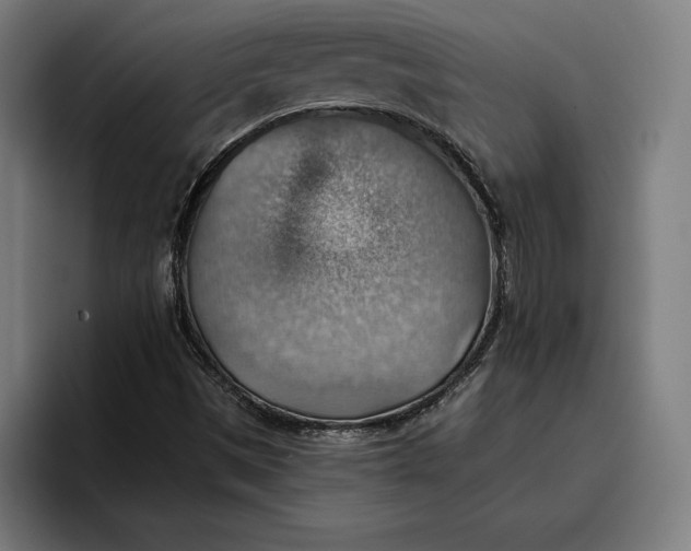 X0000096691497200802191417