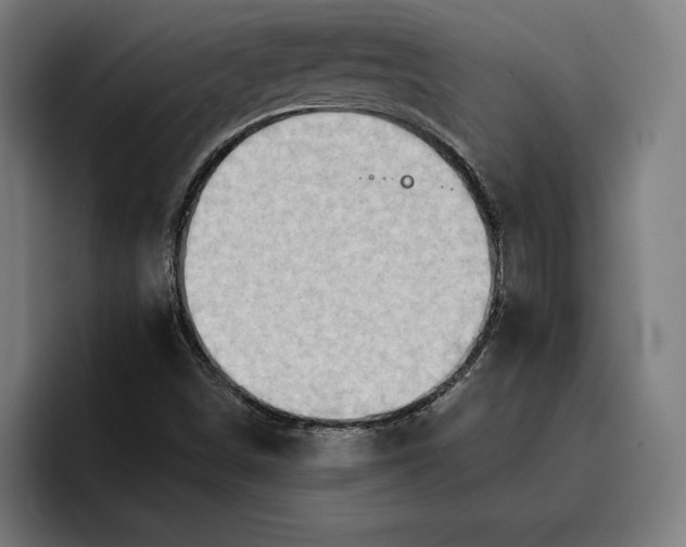 X0000096691498200802191417