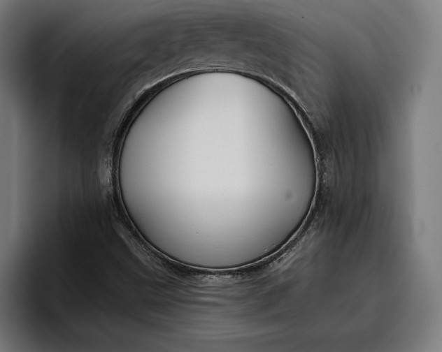 X0000096691499200802191417