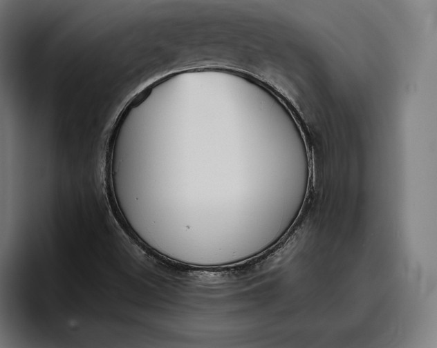 X0000096691500200802191417