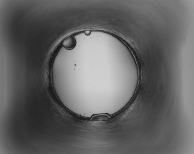 X0000096691502200802191417