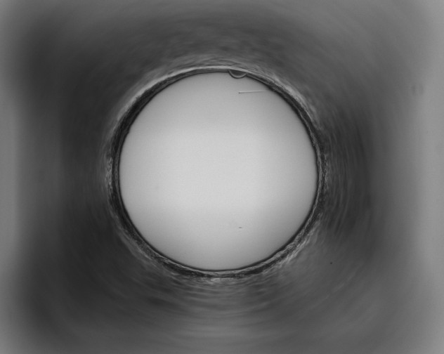 X0000096691503200802191417