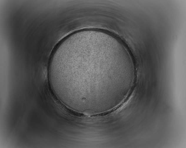 X0000096691505200802191417