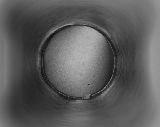 X0000096691506200802191417