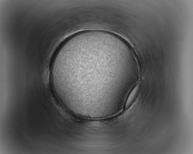X0000096691507200802191417
