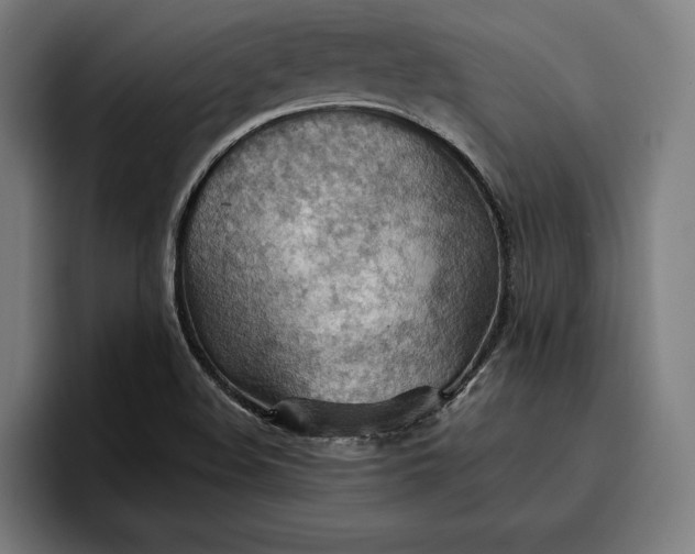 X0000096691508200802191417