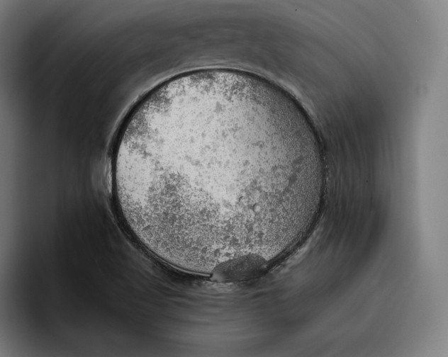 X0000096691509200802191417