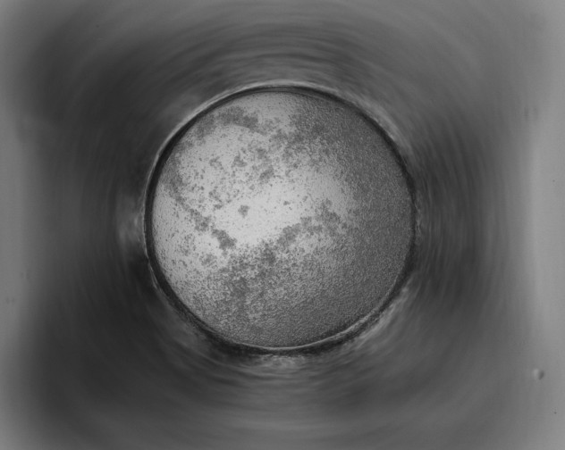 X0000096691513200802191417