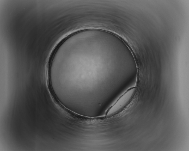 X0000096691515200802191417