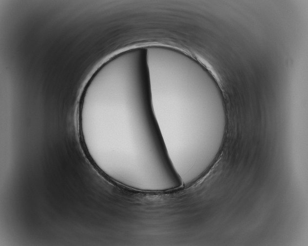 X0000096691516200802191417