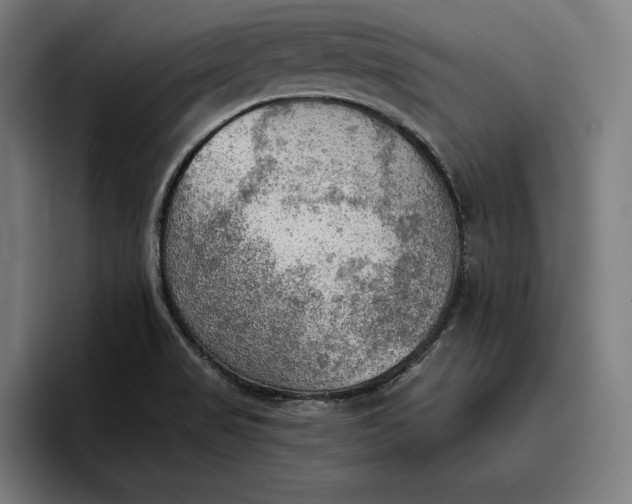 X0000096691517200802191417
