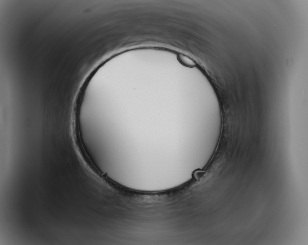 X0000096691518200802191417