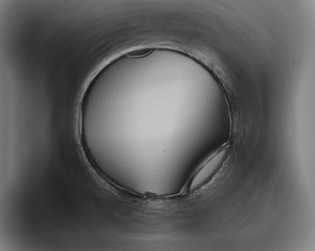 X0000096691520200802191417