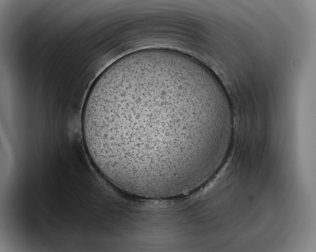X0000096691521200802191417