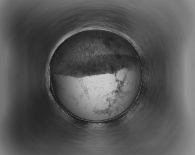 X0000096691522200802191418