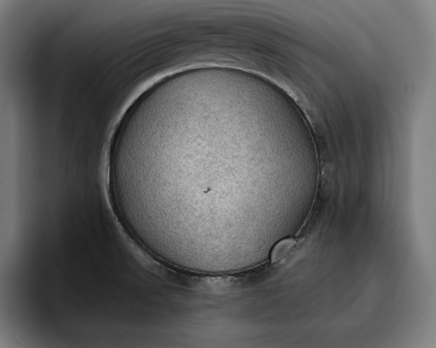 X0000096691523200802191418