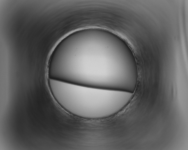 X0000096691524200802191418