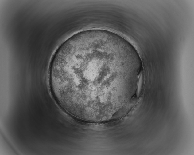 X0000096691525200802191418