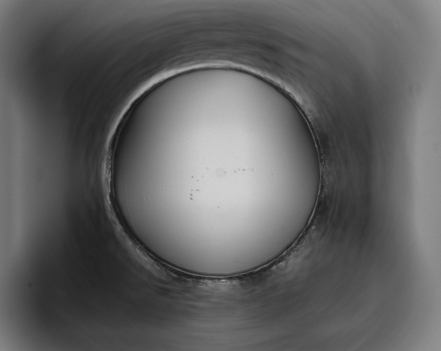 X0000096691526200802191418