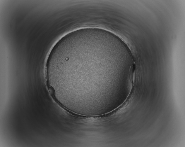 X0000096691527200802191418