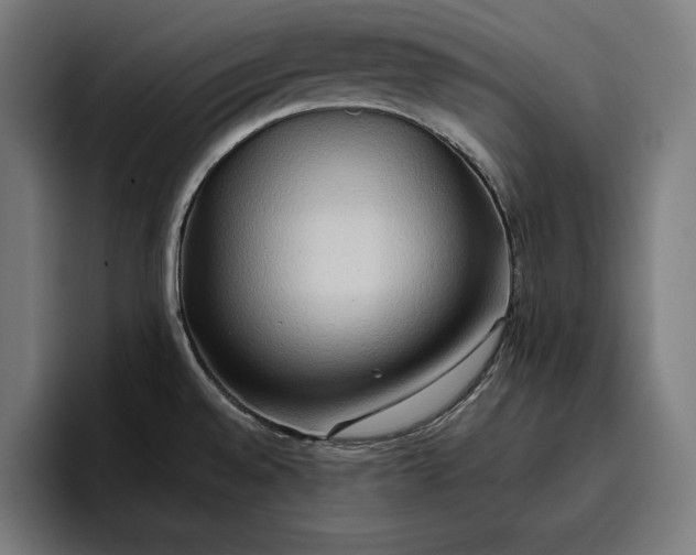 X0000096691528200802191418